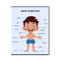 a4 human body worksheet printed — single sheet human practice (1)