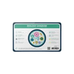 biology diagram pvc flash card