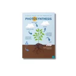 biology – photosynthesis a4 ntr