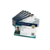 bulk college id 100 pvc cards