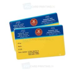 esi card pvc print