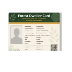 forest dweller card
