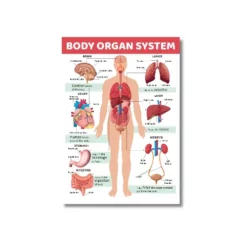 human body systems a4 ntr chart