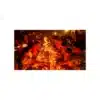 karthigai deepam festival a4 ntr