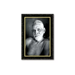 ramana maharshi photo a4 ntr print