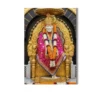 sai baba shirdi darshan closeup a4 ntr