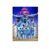 team india fan pvc card — cricket