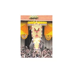 thrissur pooram event pass pvc card