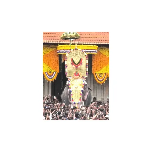 thrissur pooram event pass pvc card