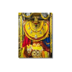 vindhyavasini devi