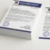 bengali letterhead a4 print 100 copies