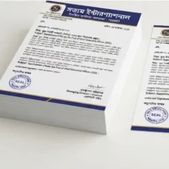 bengali letterhead a4 print 100 copies