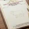 cow gaushala letterhead a4 print