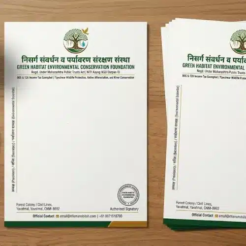 environmental ngo letterhead a4 print