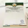 sugar cane jaggery letterhead a4